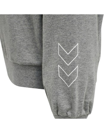 hmlBOXLINE HOODIE
