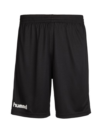 CORE POLY SHORTS / Logo- und Winkeldruck