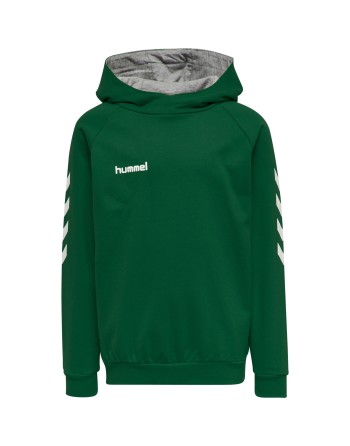 hmlGO KIDS COTTON HOODIE / Basic Hoodie für Sport und Freizeit
