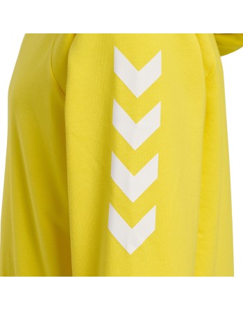 hmlGO KIDS COTTON HOODIE / Basic Hoodie für Sport und Freizeit