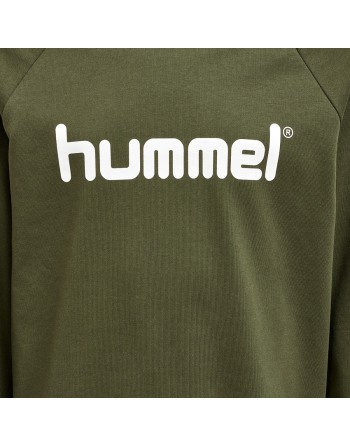 hmlGO KIDS COTTON LOGO HOODIE / Basic Hoodie für Sport und Freizeit