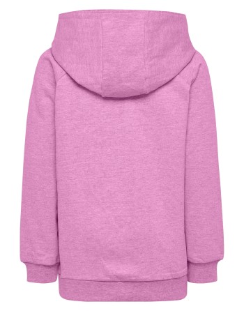 hmlGO KIDS COTTON LOGO HOODIE / Basic Hoodie für Sport und Freizeit