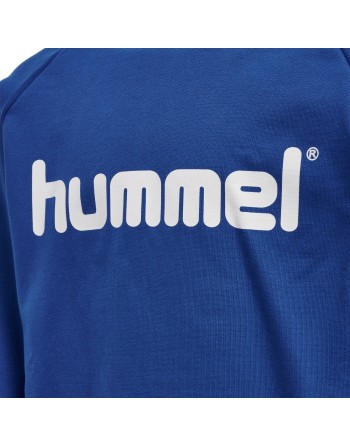 hmlGO KIDS COTTON LOGO HOODIE / Basic Hoodie für Sport und Freizeit