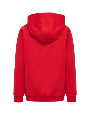 hmlGO KIDS COTTON LOGO HOODIE / Basic Hoodie für Sport und Freizeit