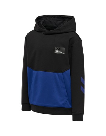 hmlEDWARD HOODIE