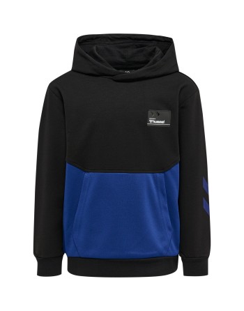 hmlEDWARD HOODIE