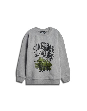stsPALM SWEATSHIRT