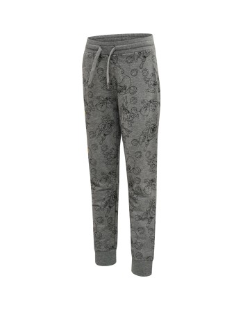hmlSPACE JAM ON PANTS