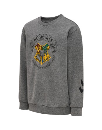 hmlHARRY POTTER SPRING TRACKSUIT
