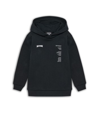 stsAIDEN HOODIE