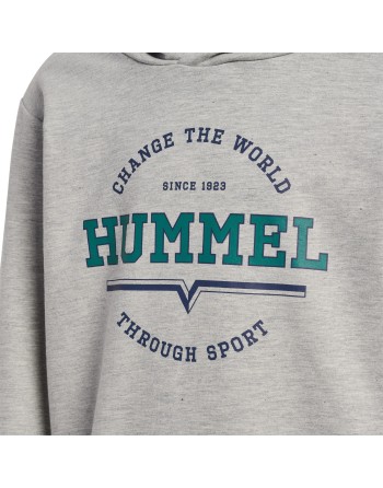 hmlASHER HOODIE