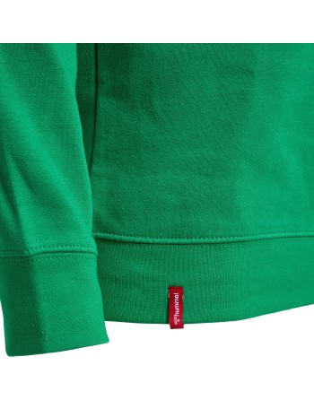 hmlRED CLASSIC HOODIE / Kapuzenpullover aus Sweatstoff