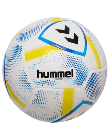 hmlAEROFLY TRAINING