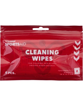 CLEANING WIPES 6 PIECES / Alkohol-Hautreinigungstücher mit 70 % Isopropanol