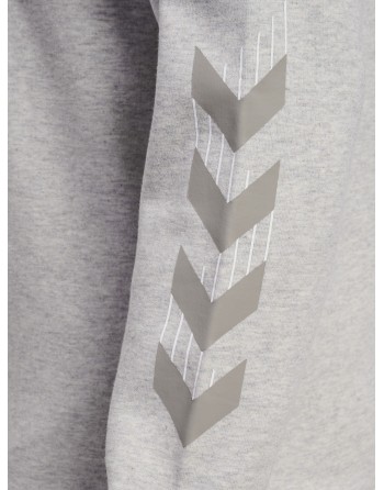 hmlTRAVEL SWEAT HOODIE