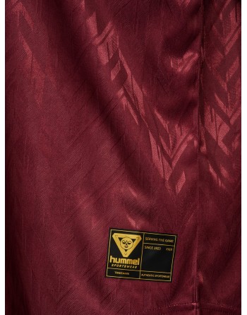 hmlLOOSE BAY SOCCER JERSEY L/S