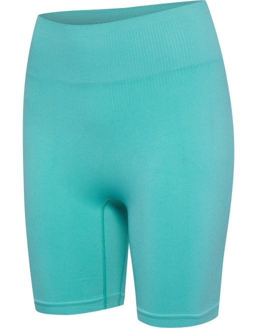 hmlALIVE SEAMLESS HIGH WAIST SHORTS hmlALIVE SEAMLESS HIGH WAIST SHORTS