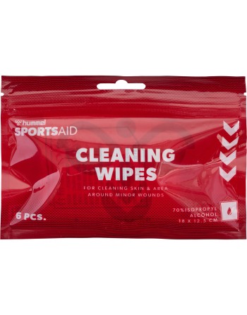 CLEANING WIPES 6 PIECES / Alkohol-Hautreinigungstücher mit 70 % Isopropanol